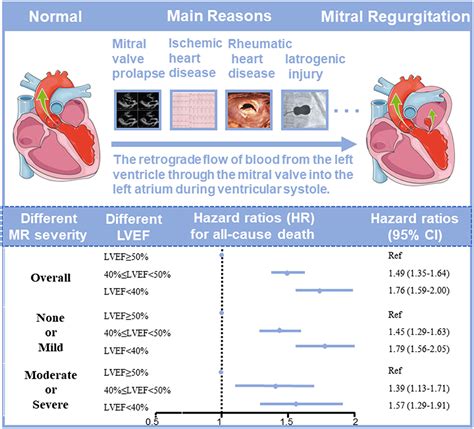 mild lv systolic impairment.